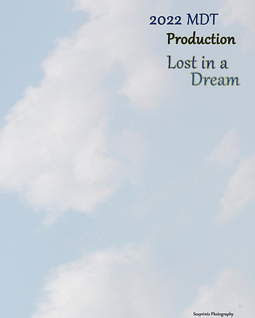 Lost in a Dream mm