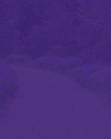 Purple Road