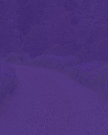 Purple Road