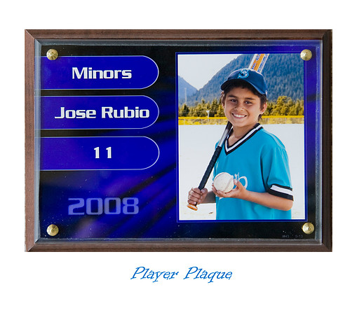 Player plaque