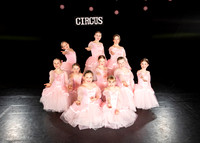 TLS_3196