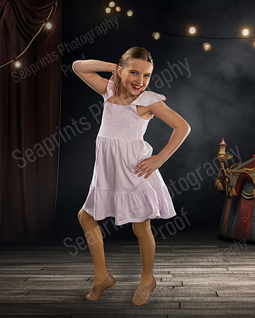 TLS_3341rt - Copy (3)