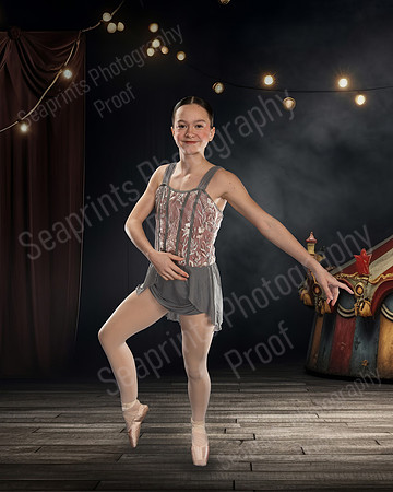 TLS_3383rt - Copy (12)