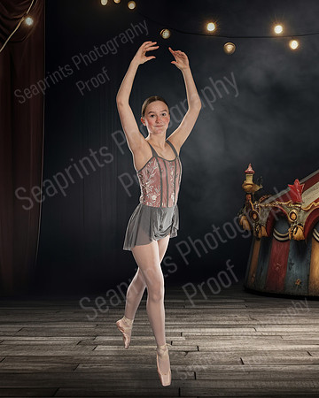 TLS_3394rt - Copy (6)