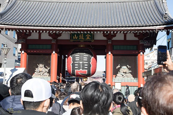 TLS_3129
