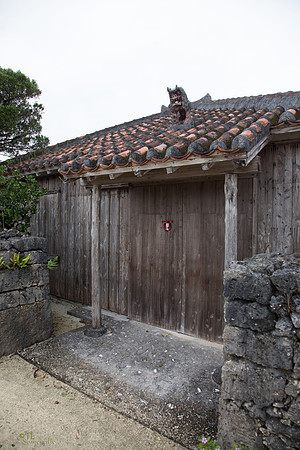 TLS_3249