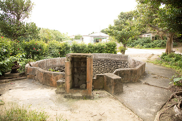 TLS_3323