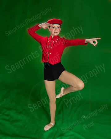 TLS_2515gt copy