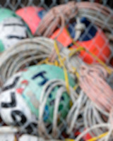 Buoys