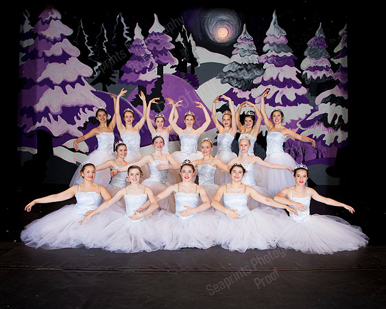 10 Snowflakes