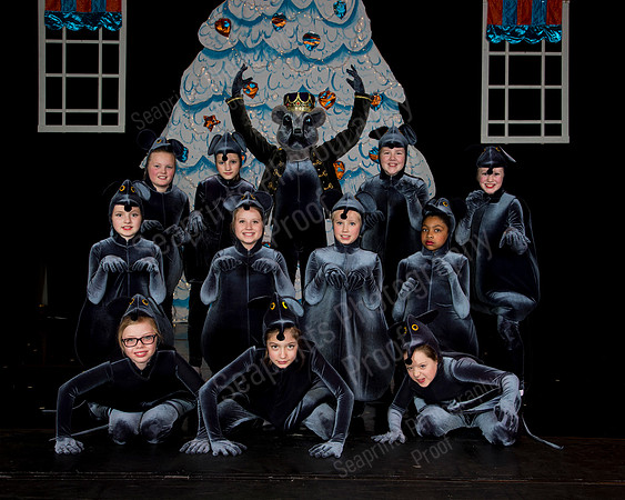 12 Rats
