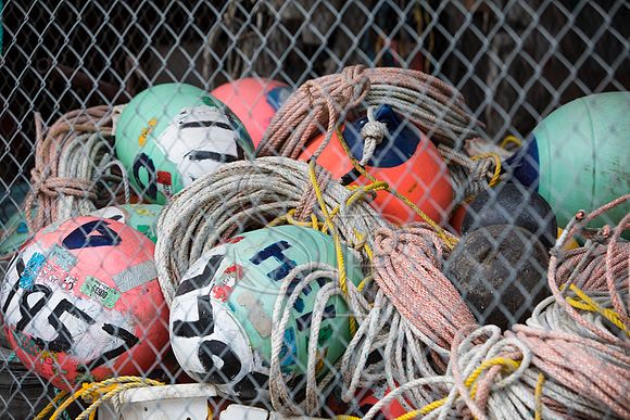 Buoy Storage