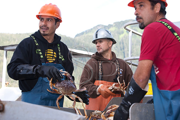 Crab Crew