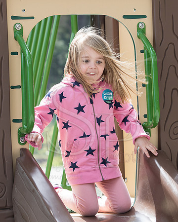 TLS_0317