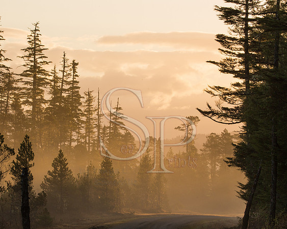 FB5A7544