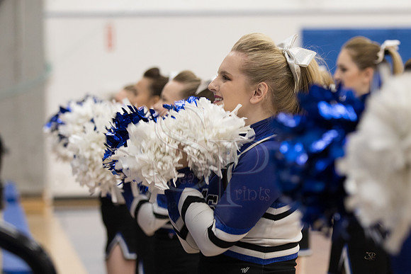 2018-19CheerSeaprints00349