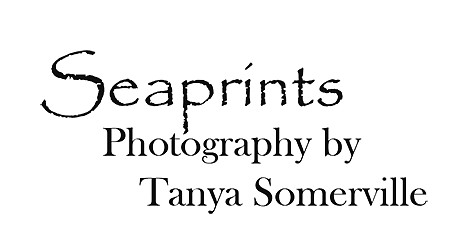 logo_copy01 (1)
