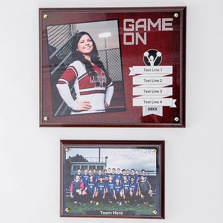 Plaques