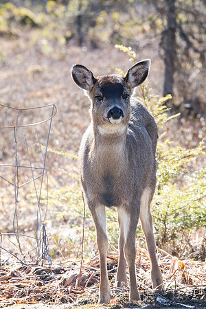 Seaprints Photography-7825