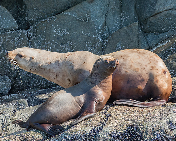 Seaprints Photography-8038