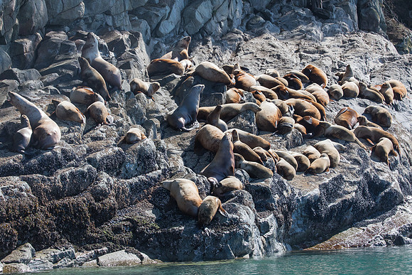 Seaprints Photography-8033