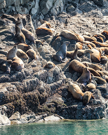 Seaprints Photography-8032
