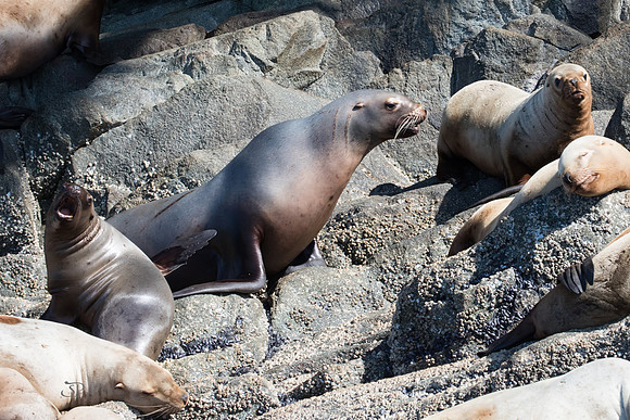 Seaprints Photography-8043