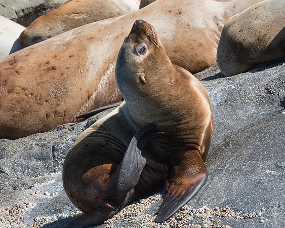 Seaprints Photography-8051