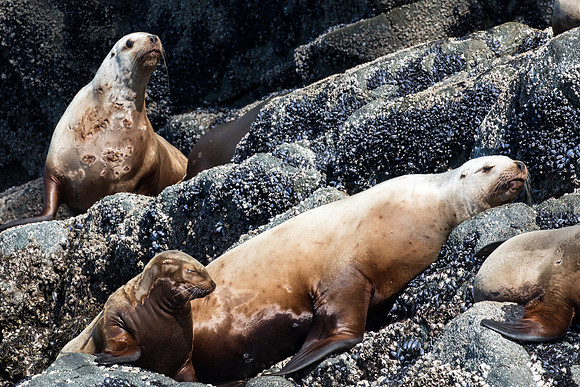 Seaprints Photography-8053