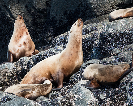 Seaprints Photography-8057