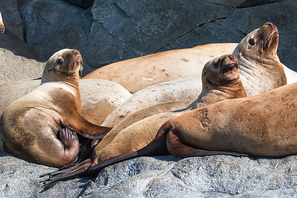 Seaprints Photography-8059