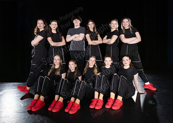 Ruby Red Slippers Group